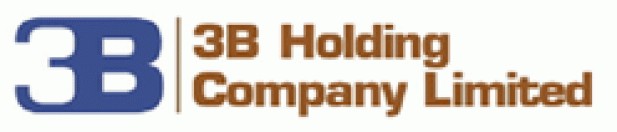 3B Holding Co., Ltd.