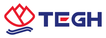 Thai Eastern Group of Company