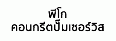 Pego Concrete Pump Service Co.,Ltd.