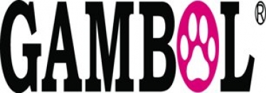 GAMBOL (THAILAND) COMPANY LIMITED