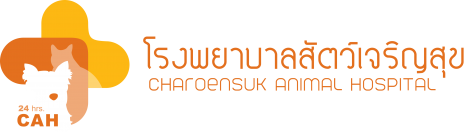 โรงพยาบาลสัตว์เจริญสุข