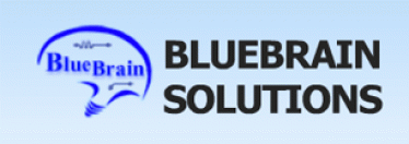 BlueBrain Solutions Co., Ltd.