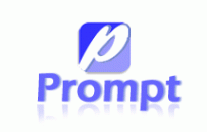 Prompt Solution Co., Ltd.