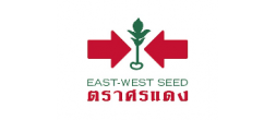 บริษัท อีสท์ เวสท์ ซีด จำกัด