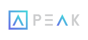 บริษัท พี ยู ยู เอ็น อินเทลลิเจนท์ จำกัด