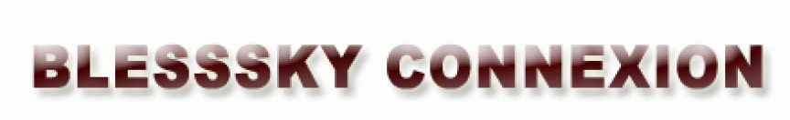 บริษัท เบลสสกาย คอนเนคชั่น จำกัด